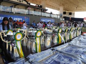 ABCZ comemora o sucesso da ExpoZebu 80 Anos