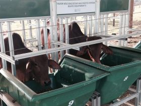 Começa na FAZU a 1ª Prova de Eficiência Alimentar