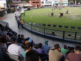 Nota oficial - Adiamento Julgamentos Brahman