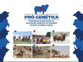 Coromandel sedia feira de touros do Pró-Genética pela primeira vez