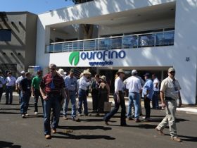 Brazilian Cattle o caminho do mercado internacional 