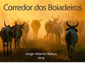 "Corredor de Boiadeiros" registra parte da história do zebu                         