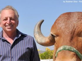 Criador Carlos Brant falece em BH  