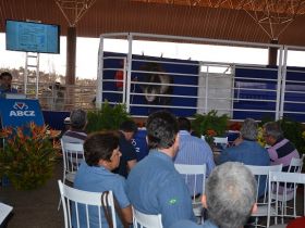 PNAT elege 17 touros para 5ª bateria