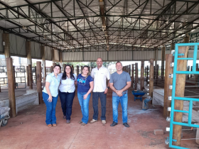 Piracicaba receberá Feira de Touros Pró-Genética durante Coplacampo