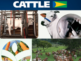 Brazilian Cattle amplia número de empresas associadas