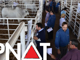 PNAT já tem quase 140 rebanhos colaboradores inscritos. Saiba como participar