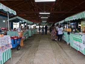 Feira da Agricultura Familiar traz produtos artesanais mineiros para a 2ª ExpoLeite