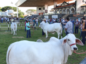 Novidade no Zootec 2019, primeiro dia de evento é marcado por atualização profissional