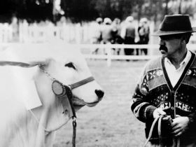 ABCZ lamenta falecimento de Fábio Edson Monteiro Bitencourte
