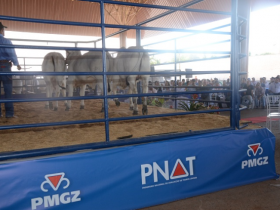 Eleitos da 6ª bateria do PNAT são apresentados na ExpoGenética