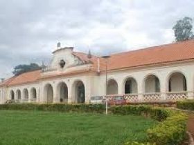 Começa 3ª edição da PGP a pasto Amigos do Nelore