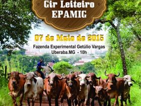 EPAMIG realiza tradicional leilão Gir Leiteiro na Expozebu 2015