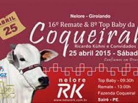 Leilão homologado PMGZ é atração em Sairé/PE