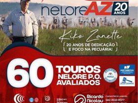 ?Leilão Virtual Nelore AZ - 20 Anos? ofertará 60 touros melhoradores