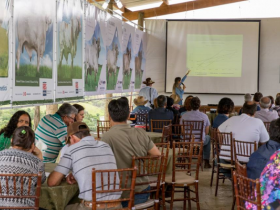 Gir Leiteiro e leite A2 são protagonistas em Dia de Campo 