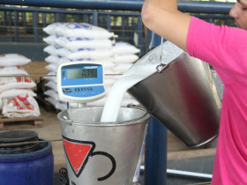 Concurso Leiteiro vai comemorar 40 anos em 2018 