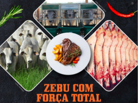 Com fila de espera, inscrições para Programa Carne de Qualidade terminam, superando expectativas