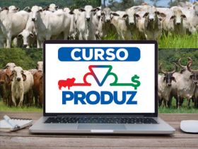 Inscrições abertas para treinamento do Produz nos dias 13 e 14 de abril