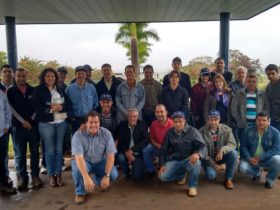Uso de touros de corte é tema de palestra para extensionista da Emater-MG