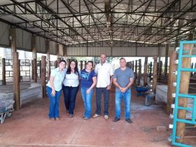 Copla Campo 2023 contará pela primeira vez com Feira de Touros do Pró-Genética