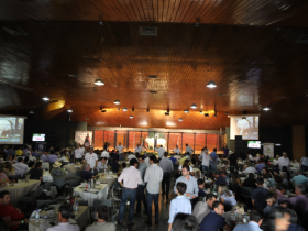 Faturamento de leilões da ExpoZebu 2019 já ultrapassa  R$7,6 milhões