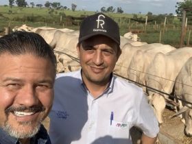 Gerente de Fomento do PMGZ acompanha registro de zebuínos na USP