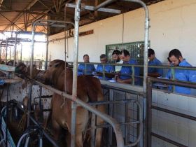 ABCZ e ABCGIL dão continuidade à reformulação do modelo de Avaliação Linear