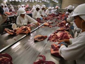 Sem barreiras para carne bovina brasileira nos EUA 