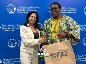 Missão da ABCZ e Brazilian Cattle avança em Ruanda com rodada de negócios e agenda institucional