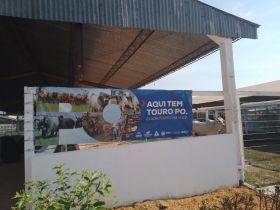 Feira de Touros Pró-Genética em Guarantã do Norte (MT) registra melhor resultado do ano para o estado