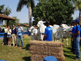 ABCZ prestigia Dia de Campo da Agropecuária J. Faria