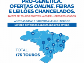 ABCZ lança informativo mensal com atualizações do Pró-Genética