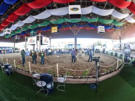 Atrações musicais gratuitas movimentarão a ExpoLeite