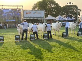 ABCZ marca presença na Expo Rio Preto