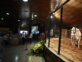 ExpoZebu 2019: leilões e shoppings confirmados já superam edição passada