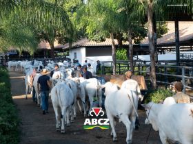 A dois dias da abertura oficial da 91ª ExpoZebu, preparativos finais movimentam o Parque Fernando Costa