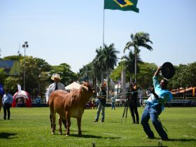 Inscrições abertas para ExpoBrahman 2023