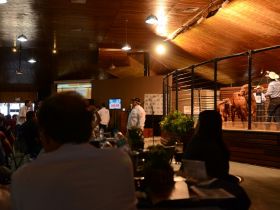 88ª ExpoZebu: grade comercial soma 39 leilões e shoppings