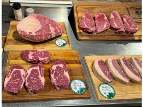 Ícones da culinária espanhola apreciam carne de Zebu brasileiro