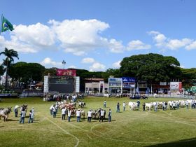 89ª ExpoZebu: primeiras horas de inscrições de animais impressionam e já registram 39% de ocupação