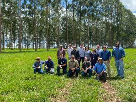 ABCZ participa de imersão com Embrapa Pecuária Sudeste para conhecer ferramenta de rastreabilidade de bovinos