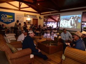 16ª ExpoGenética destacará relevância internacional do Zebu