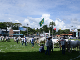 ABCZ discute conceito de Carne Carbono Neutro durante encontro na ExpoZebu 2019
