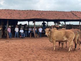 ETR de Campo Grande (MS) realiza encontro técnico para padronização das avaliações do EPMURAS