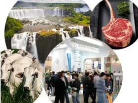 Diretores da ABCZ participam da BeefExpo 2015