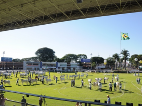 ABCZ divulga programação preliminar da ExpoZebu 2015