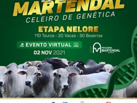 Faltam 5 dias para o 17º Leilão Martendal - Celeiro de Genética