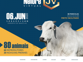 ?3º Leilão Nelore JV? será realizado no próximo sábado (6)