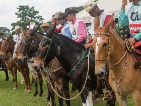 88ª ExpoZebu: Cavalgada de lançamento da ABCZ Equishow acontece neste sábado (22)